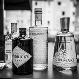 The Gin Tonic Experience