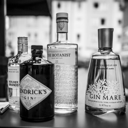 The Gin Tonic Experience 